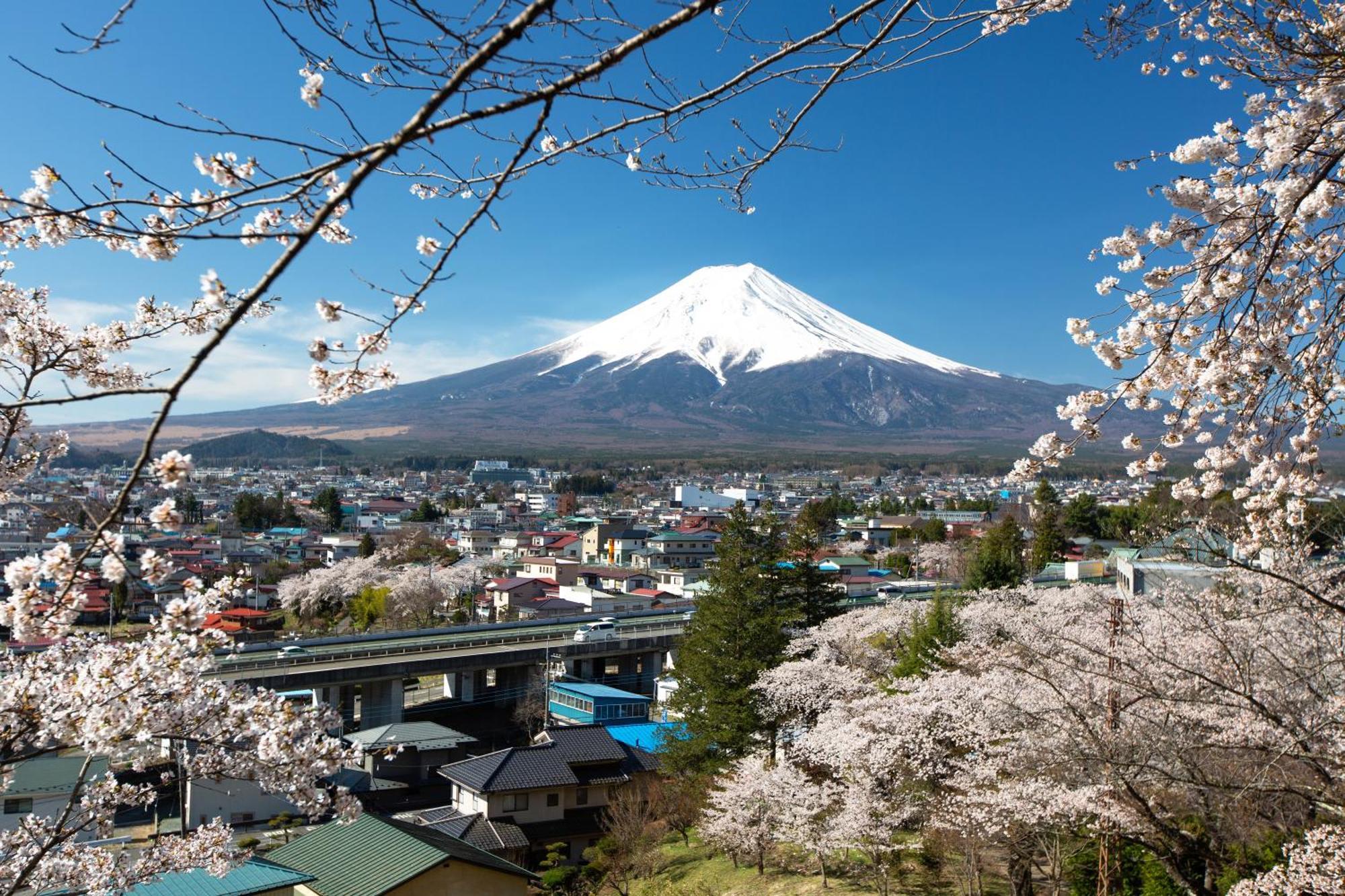 Sorapia Villa Mt.Fuji Front Fujikawaguchiko Dış mekan fotoğraf